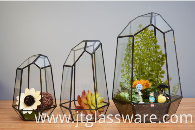 Glass Plant Terrarium3